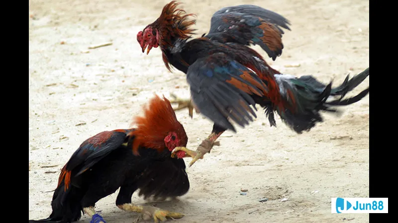 Minh họa cho Tạo môi trường an toàn