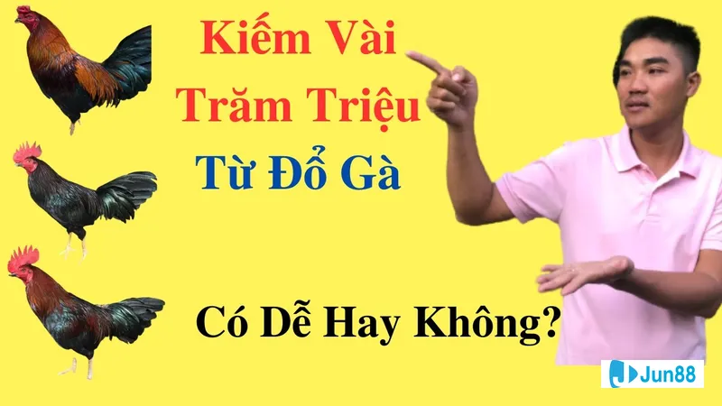 Kết quả sau khi đổ gà đá