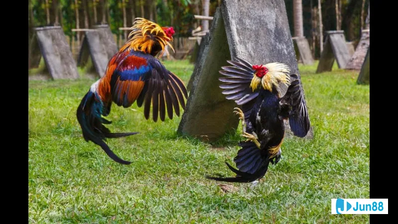 Đá vỉa trên con đường