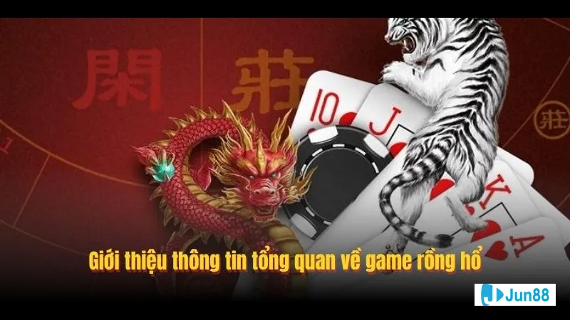 Các loại cược phổ biến trong Rồng Hổ